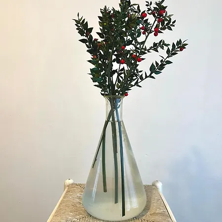 Il Fiume Azzurro فندق مبيت وإفطار كاستيلّيتّو سوبرا تي