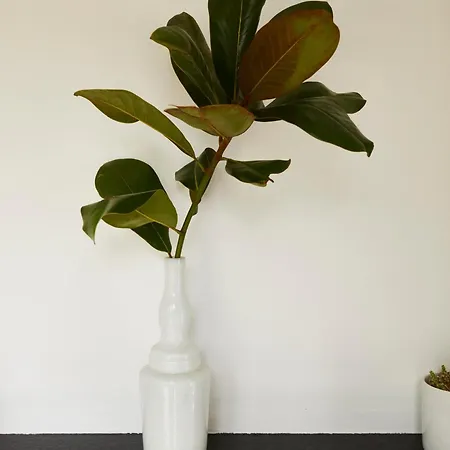 فندق مبيت وإفطار Il Fiume Azzurro