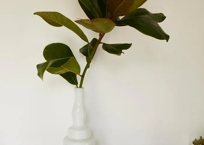 Bed and breakfast Il Fiume Azzurro